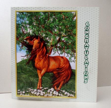 Horse Sense by Audrey Brown clifford