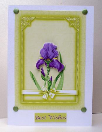 Iris Topper by Audrey Brown clifford