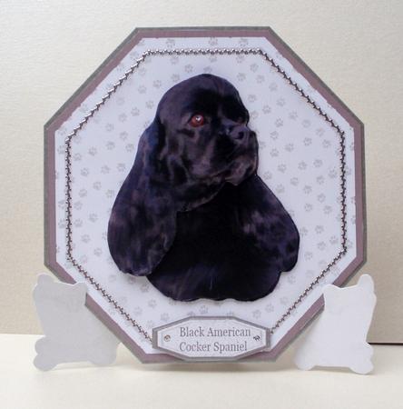 American Cocker Black Spaniel Plate Shaped Card & Stand by Audrey Brown clifford