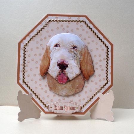 Italian Spinone Plate Shaped Card & Stand by Audrey Brown clifford