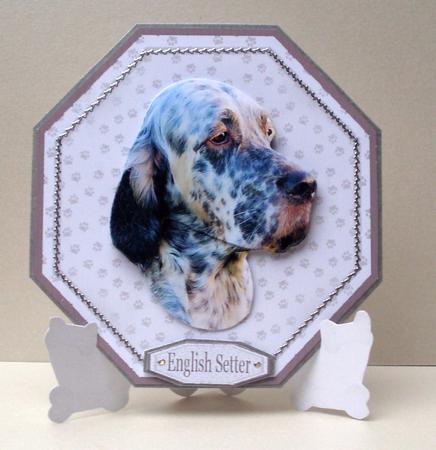 English Setter Plate Shaped Card & Stand by Audrey Brown clifford