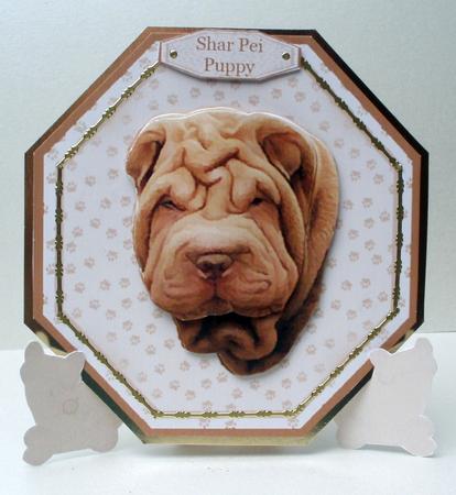 Shar Pei Plate Shaped Card & Stand by Audrey Brown clifford