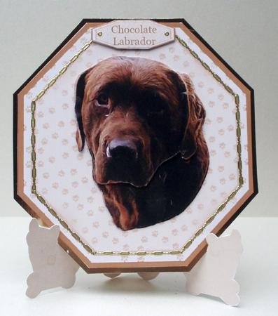 Chocolate Labrador Plate Shaped Card & Stand by Audrey Brown clifford