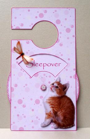 Fred the Cat Spinnin' Door Hanger by Audrey Brown clifford