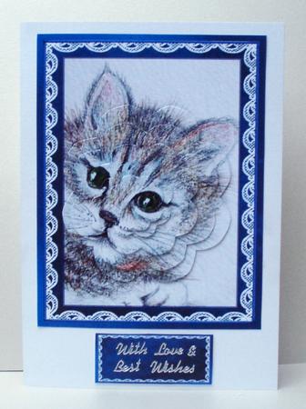 Pams Cat by Audrey Brown clifford