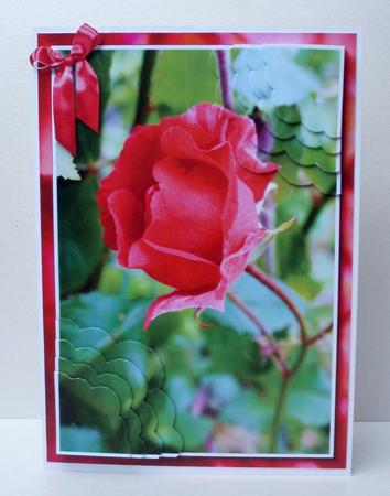 Single Rose Scalloped Corner Pyramid Sheet by Audrey Brown clifford