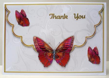 Butterfly Envelope Card by Audrey Brown clifford