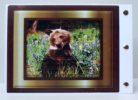 Bashful Bear Pyramid Card Front by Audrey Brown clifford