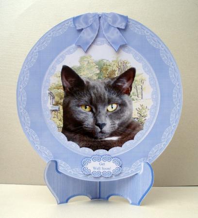 Orlando Grey British Shorthair Plate Card,stand & Sentiments by Audrey Brown clifford