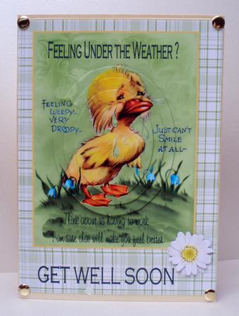 Under the Weather Duck by Audrey Brown clifford