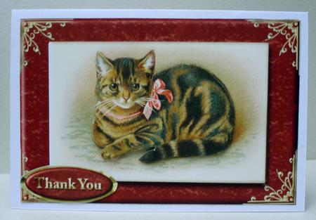 Cute Cat with Pink Bow Card Front & Various Sentiments by Audrey Brown clifford