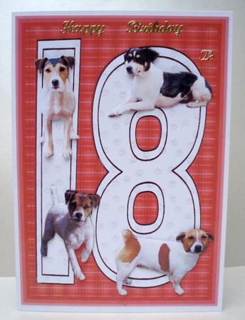 Jack Russell Terrier 18th Birthday Card by Audrey Brown clifford