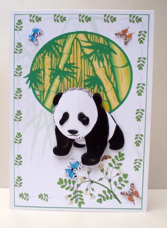 Panda in the Wild Card Front and Decoupage by Audrey Brown clifford