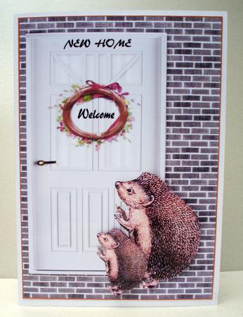 Hedgie New Home by Audrey Brown clifford
