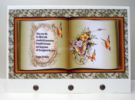 Book Double Pryamage by Audrey Brown clifford