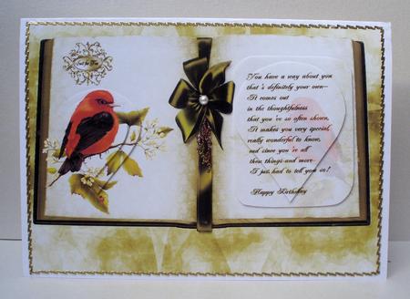 Colourful Bird Book by Audrey Brown clifford