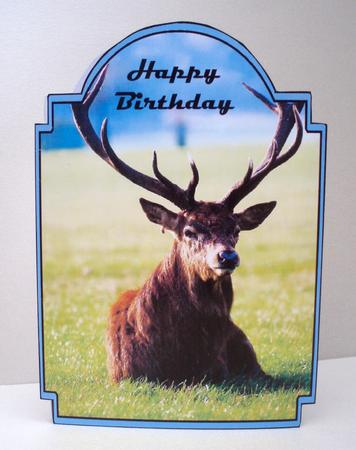 Reclining Stag by Audrey Brown clifford