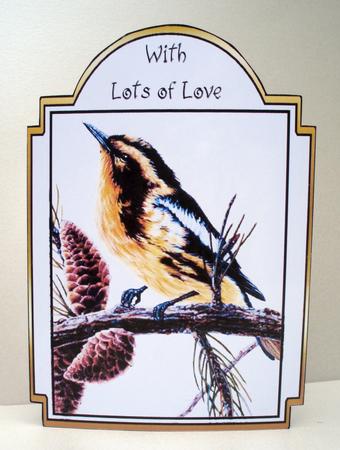 Winter Bird by Audrey Brown clifford