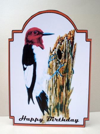 Woodpecker by Audrey Brown clifford