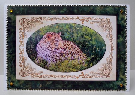 Leopard in the Grass Quick Card by Audrey Brown clifford