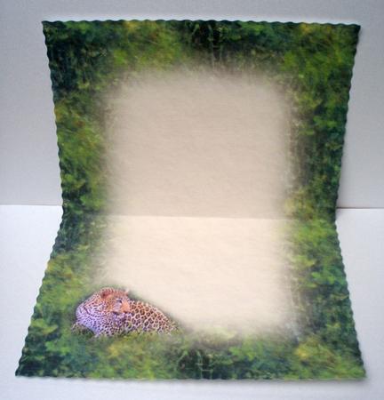 Leopard in the Grass Insert by Audrey Brown clifford