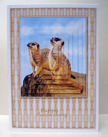 Meercats Pyramid by Audrey Brown clifford