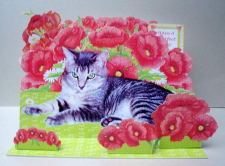 Silver Tabby Cat & Red Poppies - 3D A4 Giant Easel Card Kit by Audrey Brown clifford