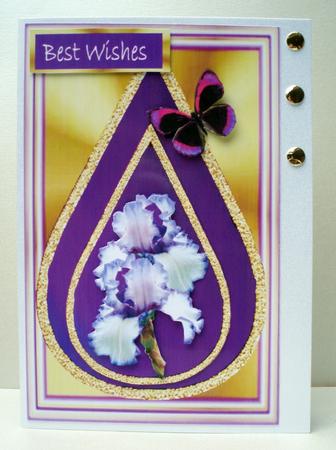 Purple Iris 1 by Audrey Brown clifford
