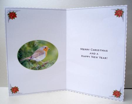 Xmas Robin Insert by Audrey Brown clifford