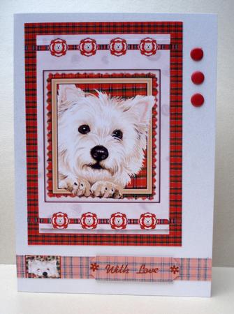 Good Friends Napping Rectangular 5 by 7 Card Front by Audrey Brown clifford