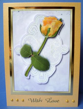 Simple Apricot Rose on Lace by Audrey Brown clifford