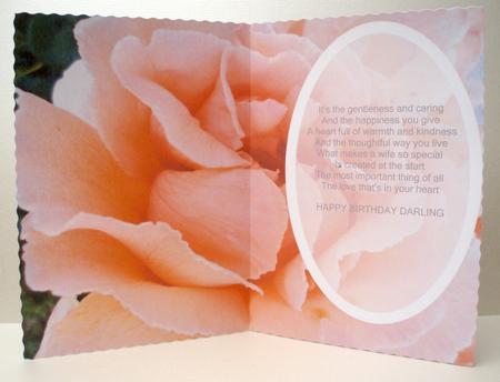 Rose Card Insert by Audrey Brown clifford