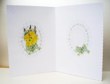 Just a Bunch of Daffodils Insert by Audrey Brown clifford