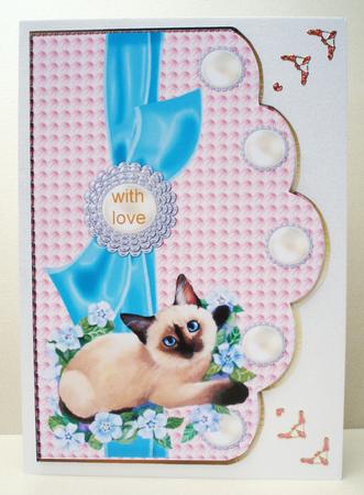 Scallop Cute Kitten by Audrey Brown clifford