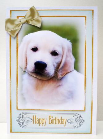 Puppy Love Birthday by Audrey Brown clifford