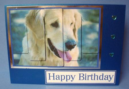 Panelled Retriever by Audrey Brown clifford