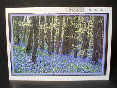 Bluebells Corner Stacker by Audrey Brown clifford