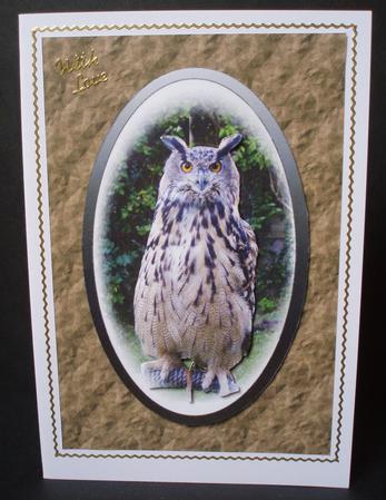 Eagle Owl Card Front by Audrey Brown clifford