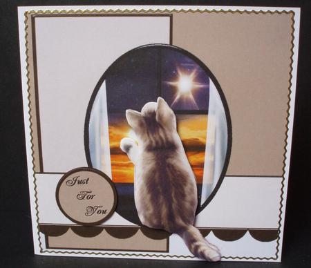 Moonlight Kitten by Audrey Brown clifford