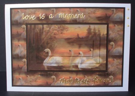 Swans Quick Card by Audrey Brown clifford