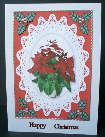 Christmas Poinsettia by Audrey Brown clifford