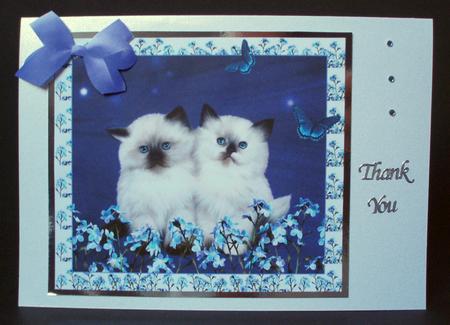 Sweet Little Kittens by Audrey Brown clifford