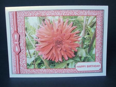 Red Dahlia Decoupage by Audrey Brown clifford