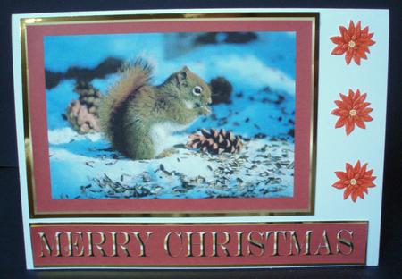 Squirrel by Audrey Brown clifford