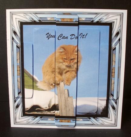 Balancing Cat by Audrey Brown clifford