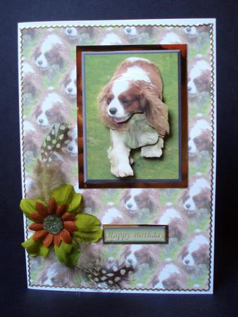 Cavalier King Charles Spaniel Walking 3D Decoupage with Background by Audrey Brown clifford