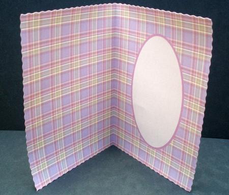 Pretty Pink Tartan Insert by Audrey Brown clifford
