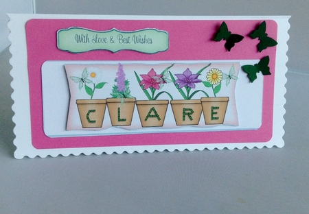 large dl pot plant names CLARE Different spelling by Audrey Wilson