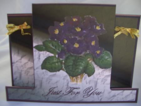 African Violet Staggerfold by Audrey Wilson