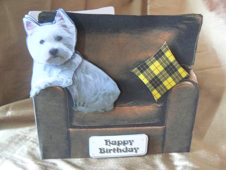 Westie Relaxing in an Armchair by Audrey Wilson